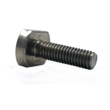 OEM Wholesale Stainless Steel T / Hammer Head Screws